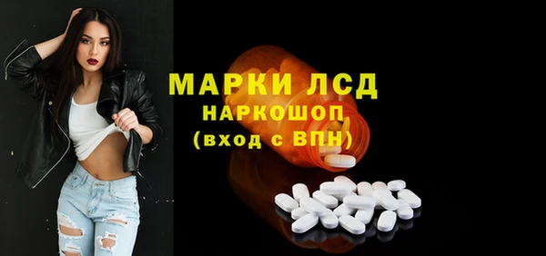 индика Белокуриха