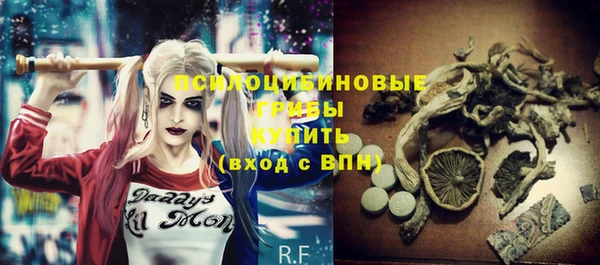 индика Белокуриха