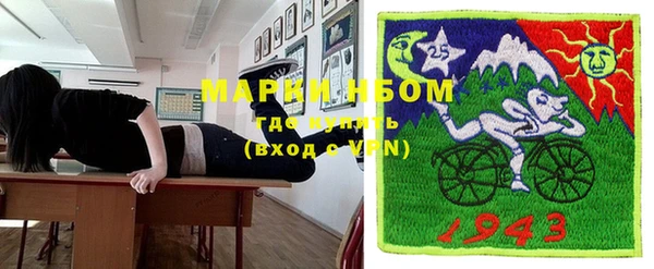 индика Белокуриха