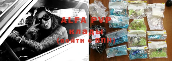 индика Белокуриха